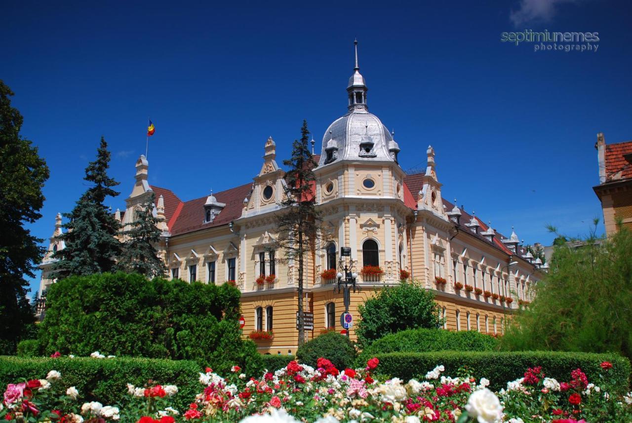 The Old Town Nest Apartment Brașov Exterior foto